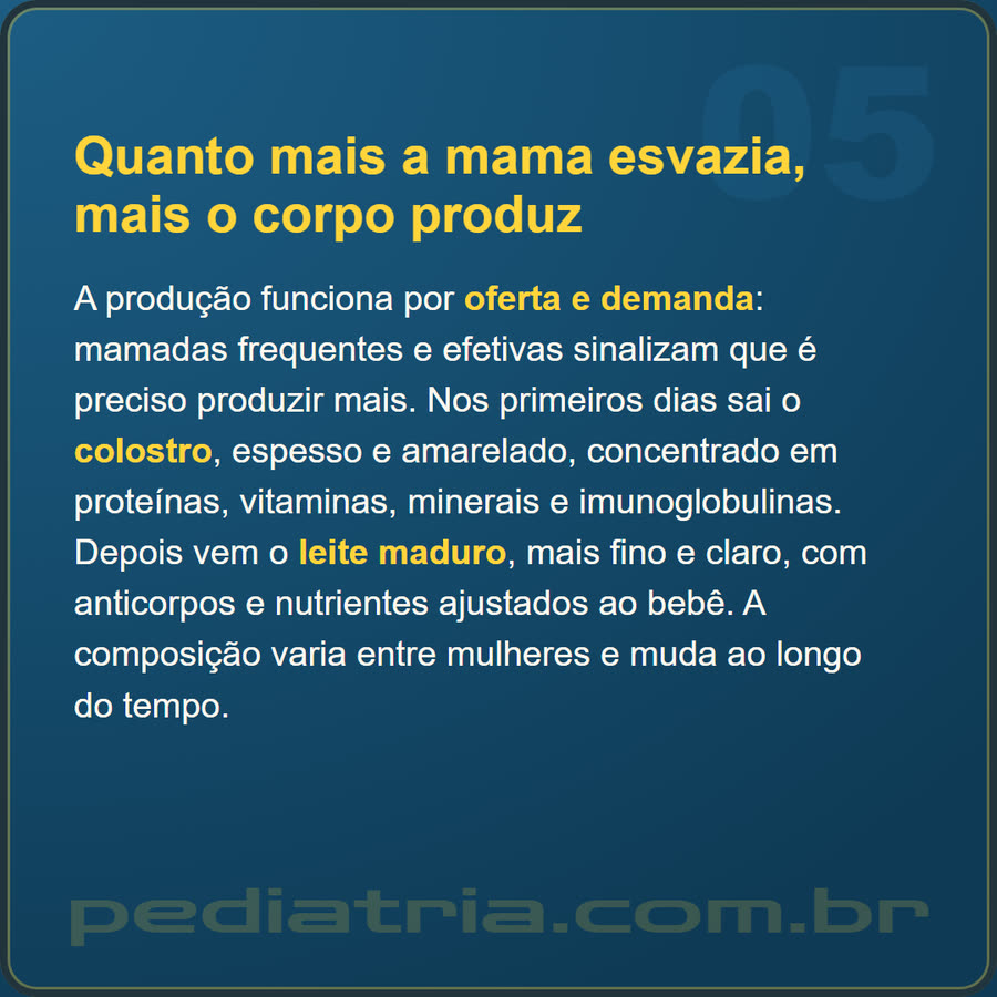 Slide 5 de 6 da edição