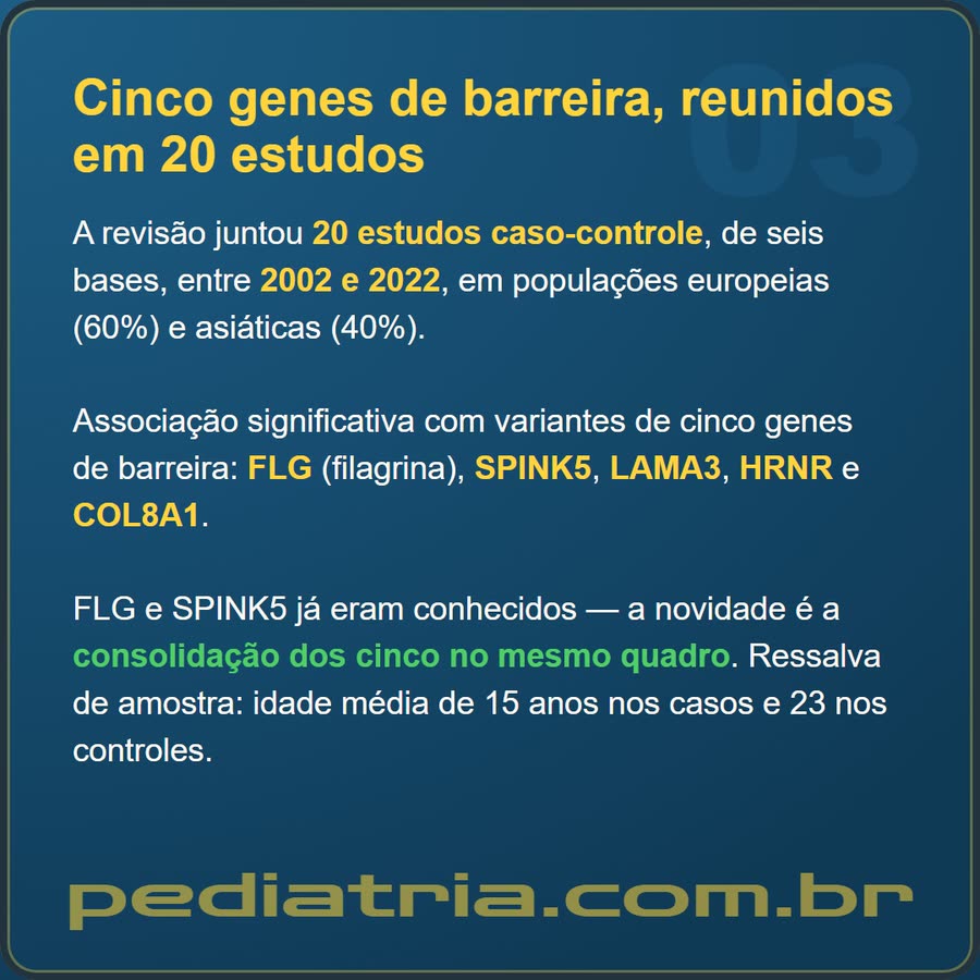 Slide 3 de 6 da edição