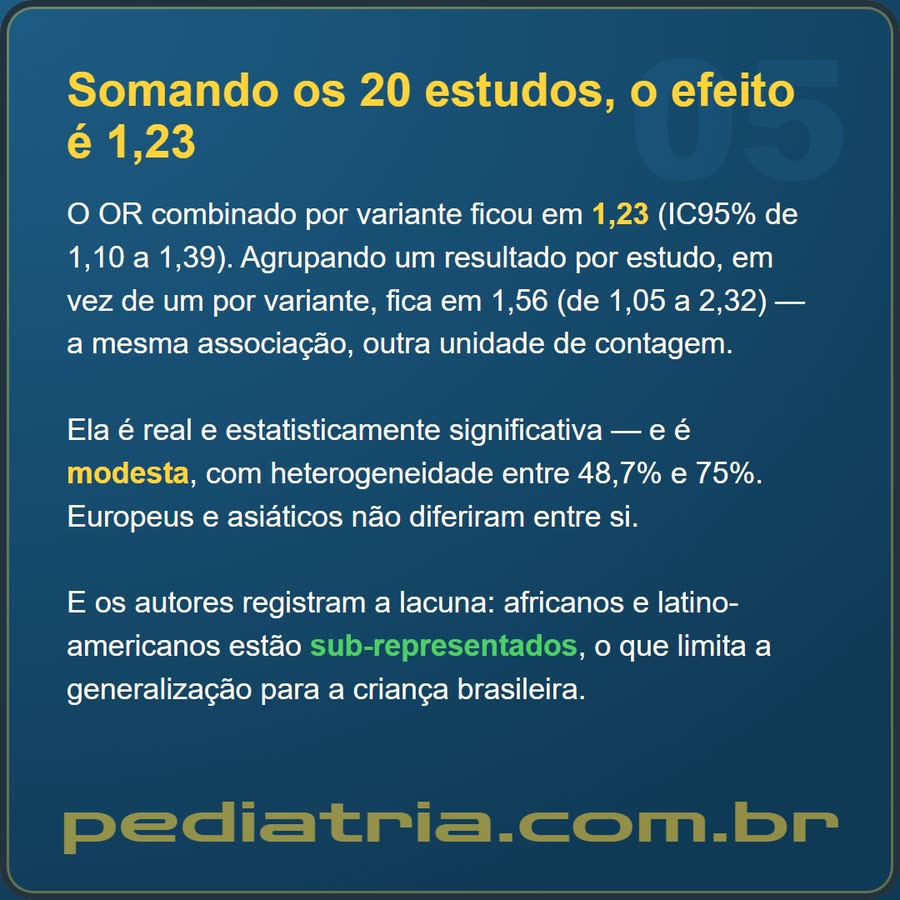 Slide 5 de 6 da edição