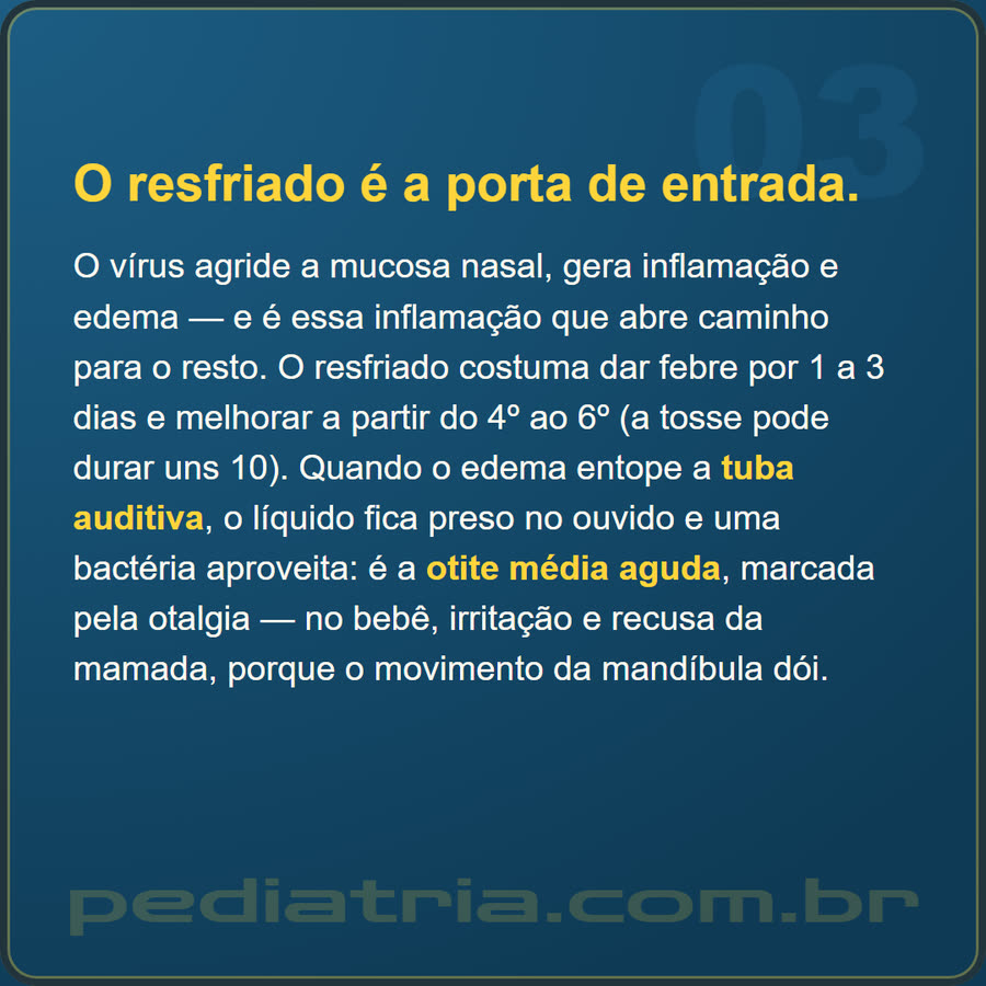 Slide 3 de 6 da edição