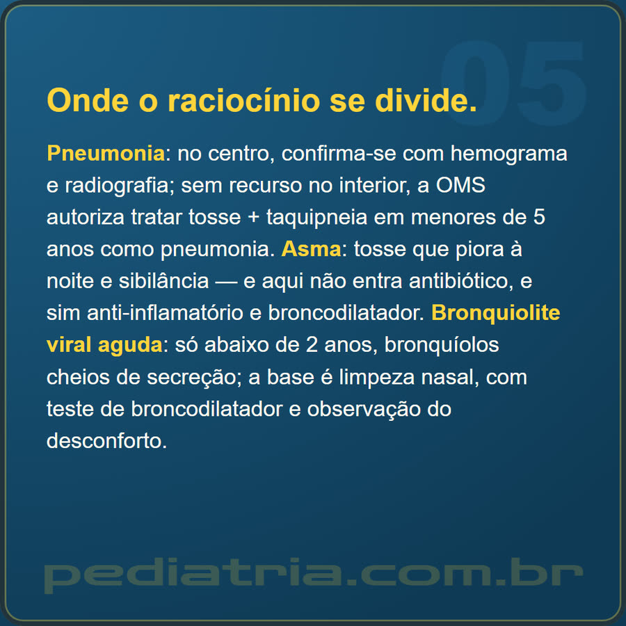 Slide 5 de 6 da edição