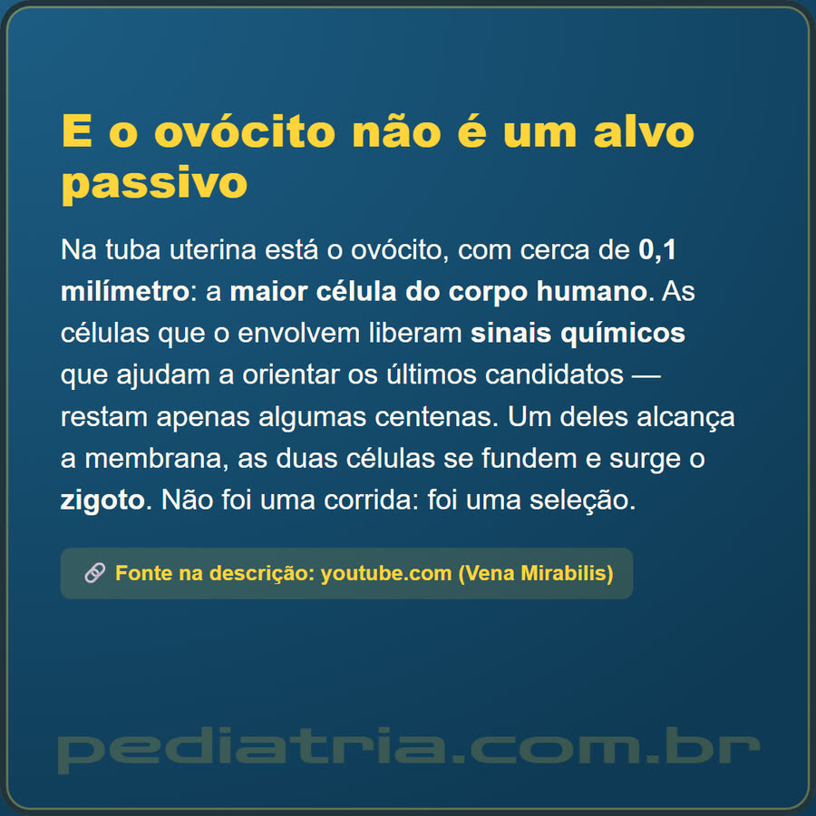 Slide 6 de 6 da edição