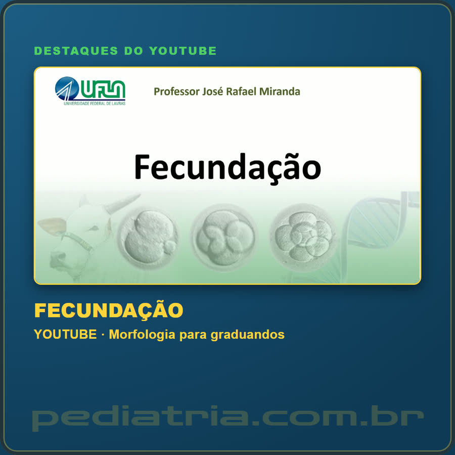 Slide 2 de 6 da edição