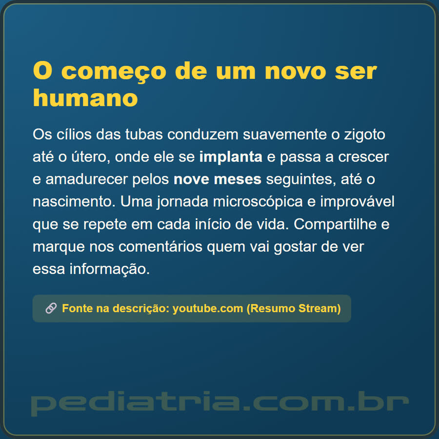 Slide 6 de 6 da edição