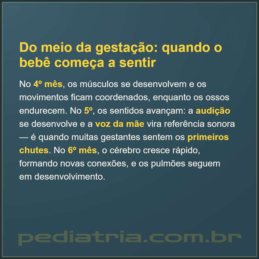 Slide 4 de 6 da edição