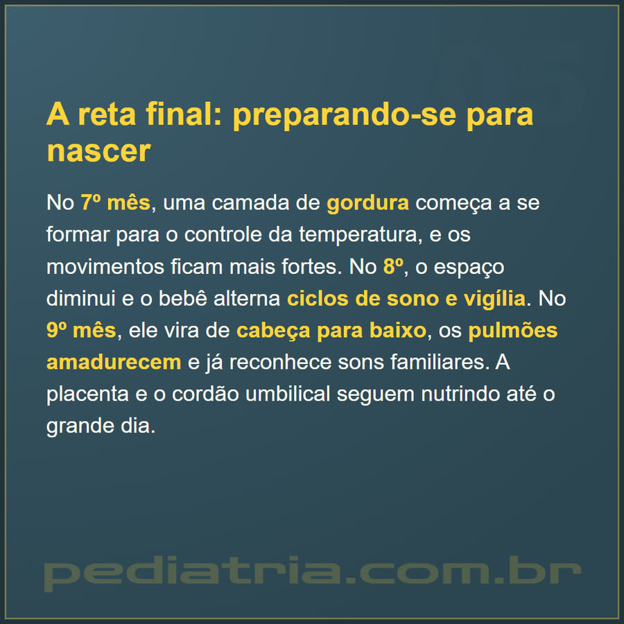 Slide 5 de 6 da edição