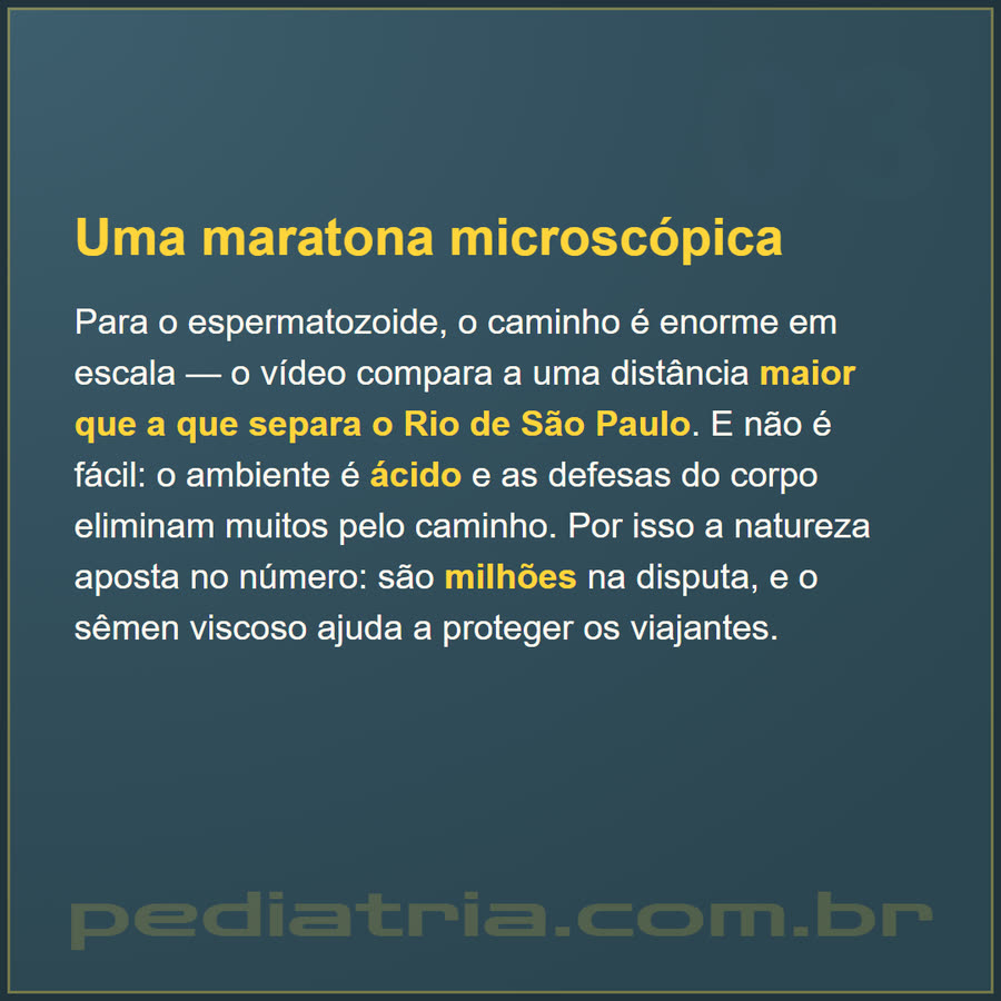 Slide 3 de 6 da edição