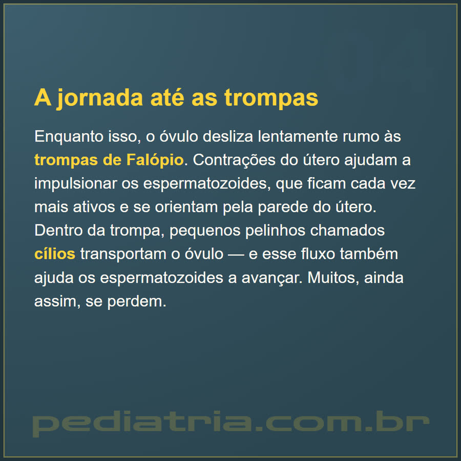 Slide 4 de 6 da edição