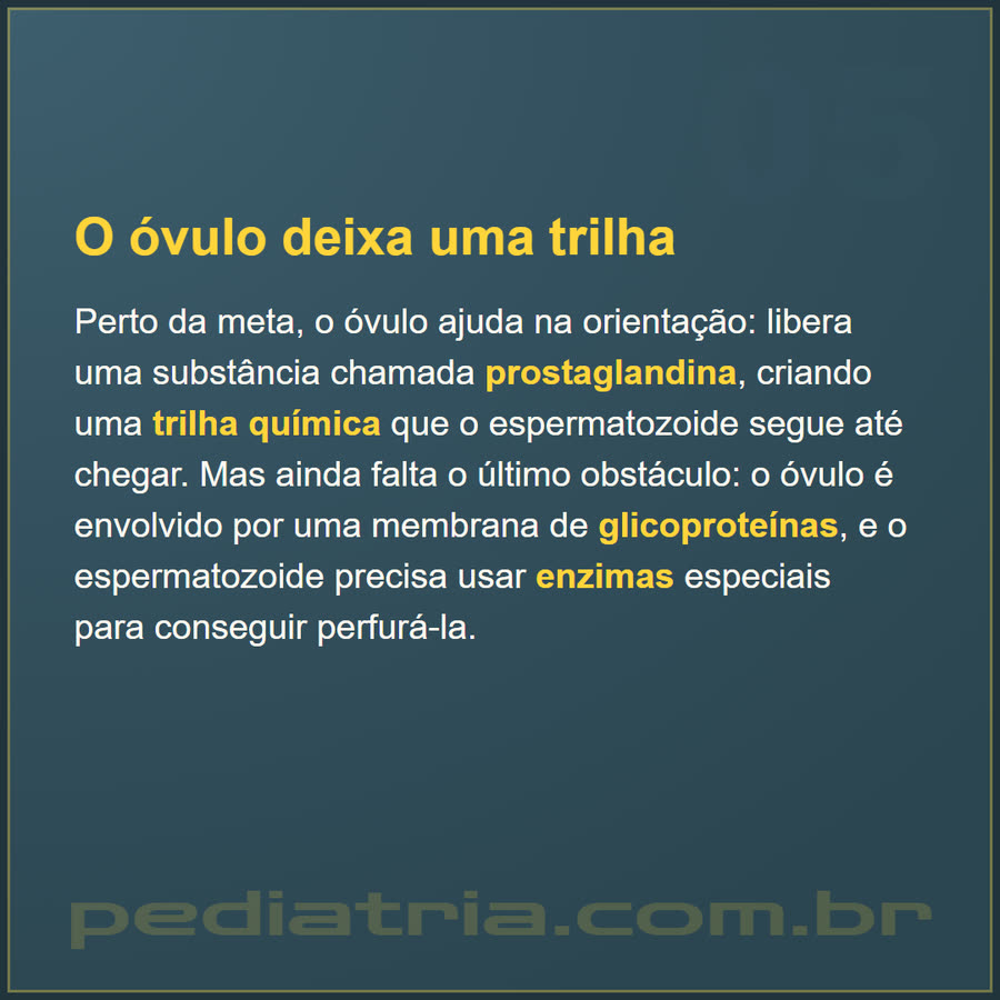 Slide 5 de 6 da edição