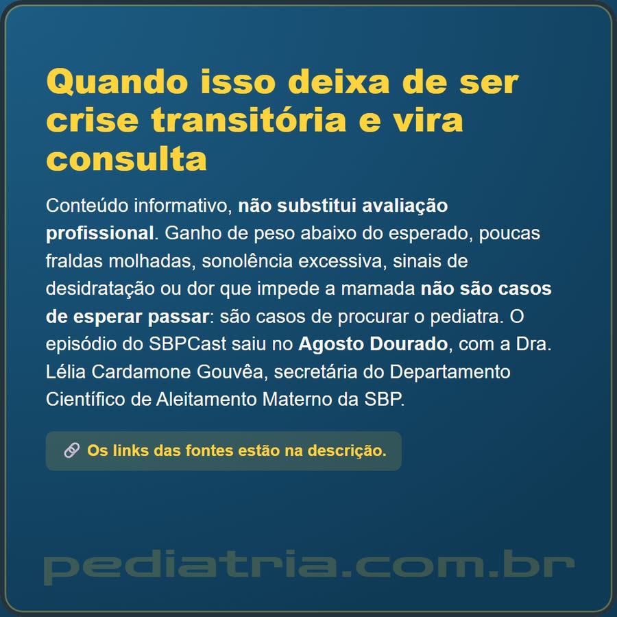 Slide 6 de 6 da edição
